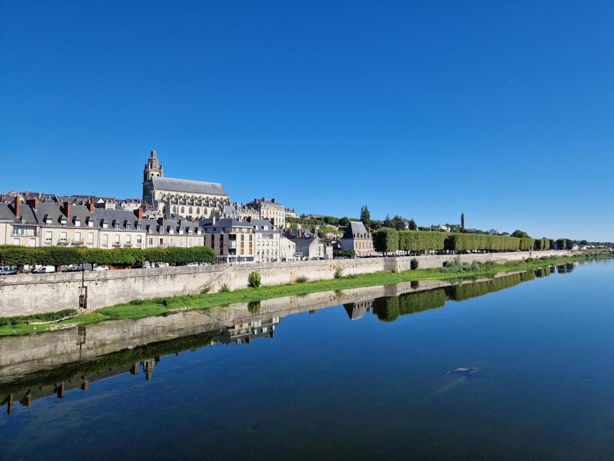 Le Saint Jean Et Son Parking Privee Daire Blois Dış mekan fotoğraf